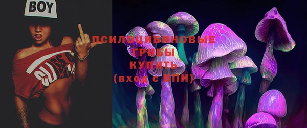 круглые Дмитриев