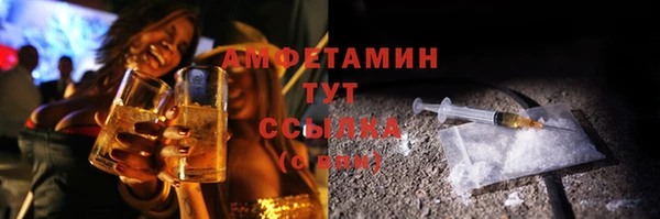 стаф Дмитровск