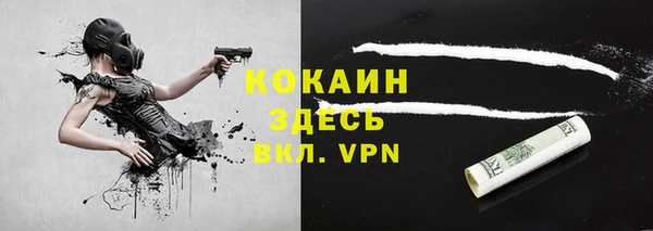 дживик Дмитров