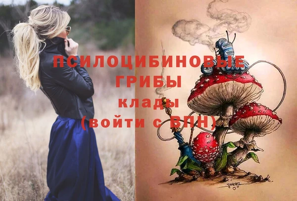 круглые Дмитриев