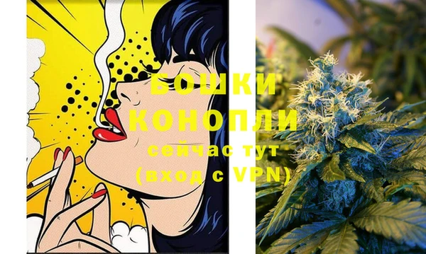 дживик Дмитров