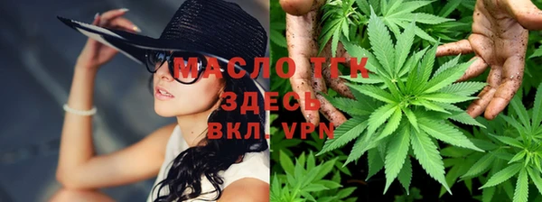 стаф Дмитровск